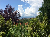 ee48f645-20160524 tritome.jpg